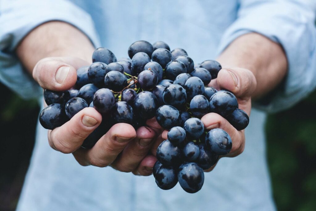 Was bedeutet Appassimento beim wein?